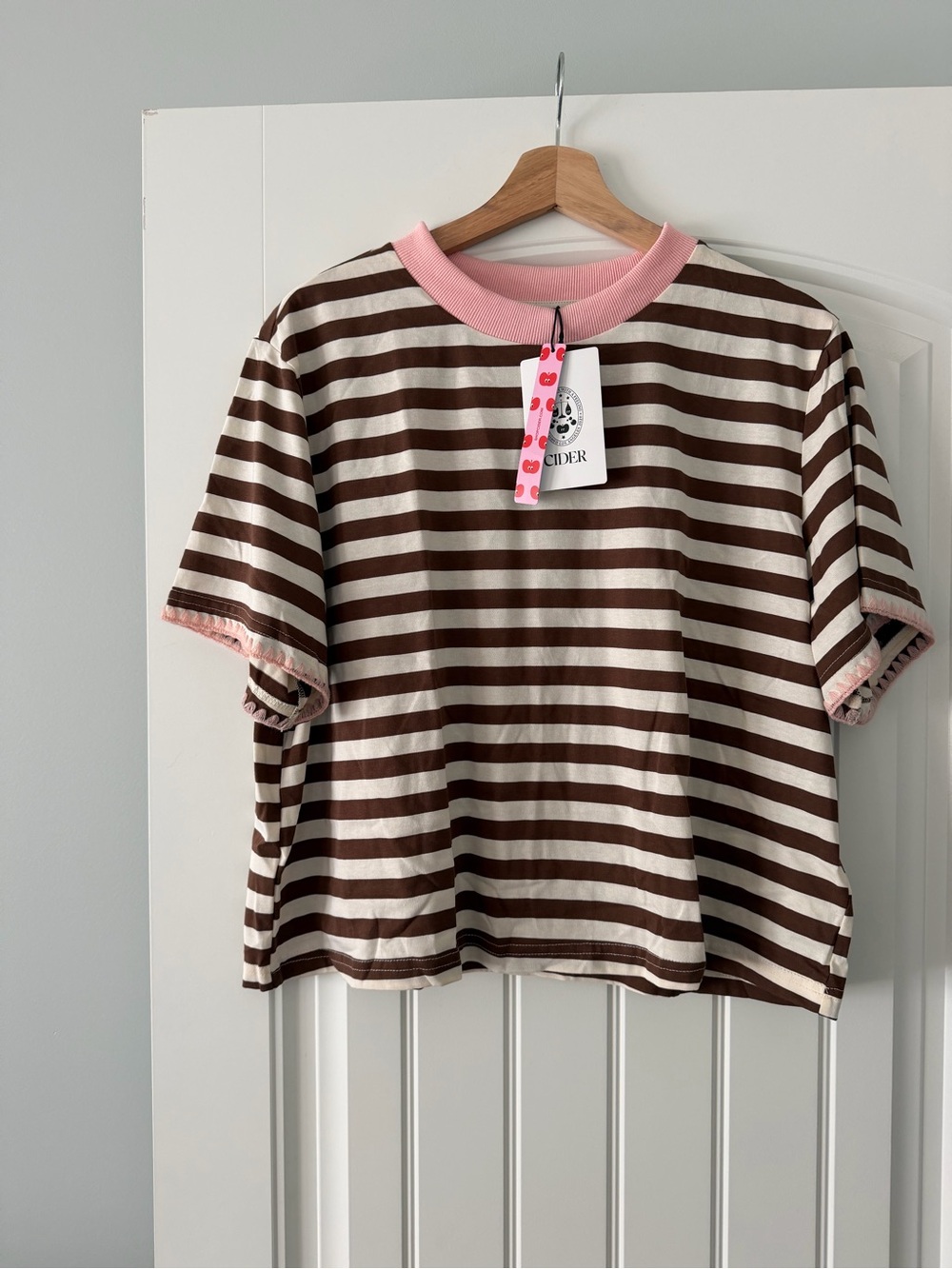 Cider Brown & Cream with Pink Rib Trim Oversized Boxy Striped Tee
